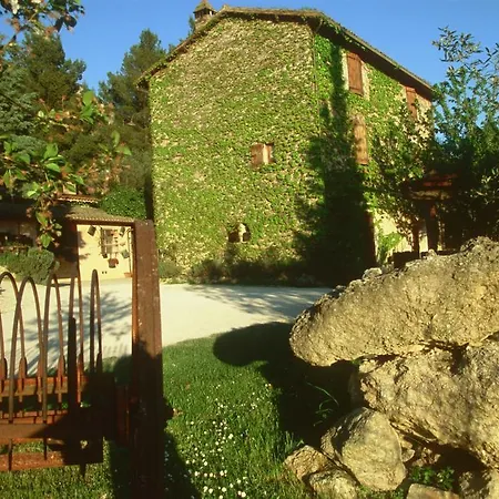 Malvarina *